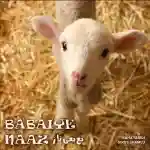 babaiye-naaz