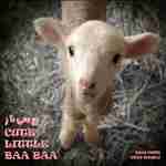Cute Little baa baa
