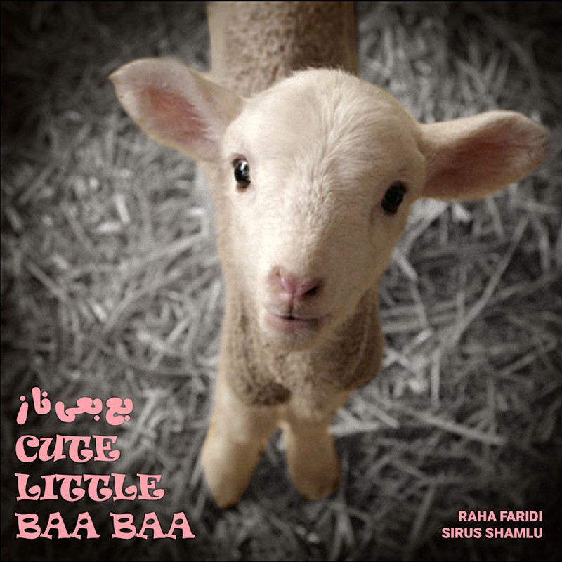 Cute Little baa baa